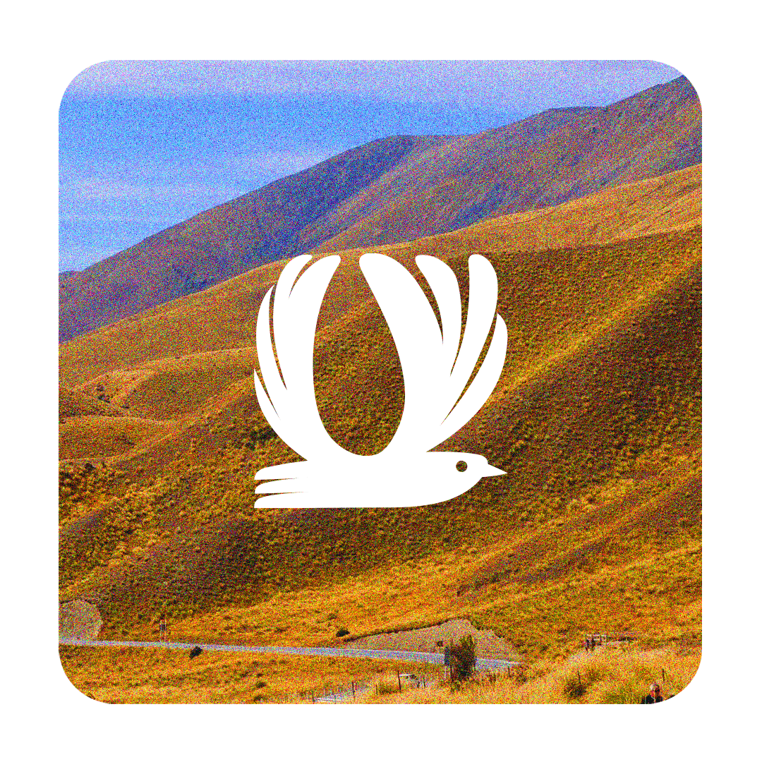 Travel_Header_1